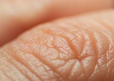 macro finger skin