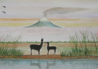 Llamas from Cotopaxy