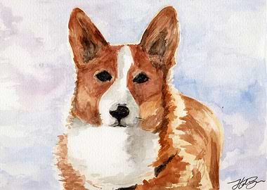 Corgi