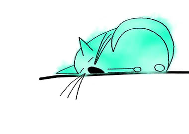 Sleeping Green Cat