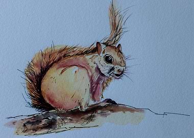 Squirrel Joy is soon there