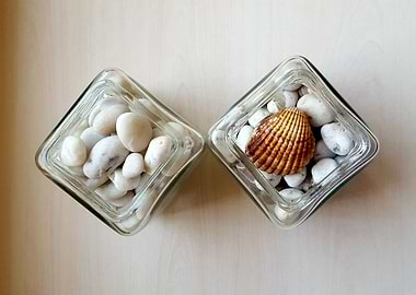 Sea stones and shell