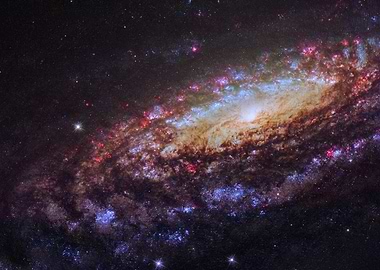 Spiral Galaxy NGC 7331