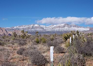 Mountain Fence