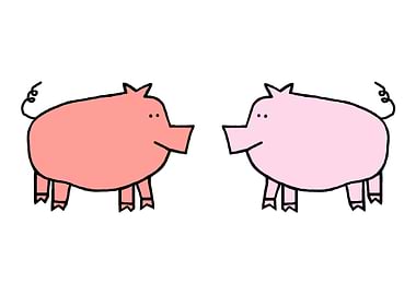 Rose and Pink Pigs