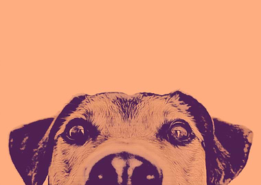 Pop Art Dog Orange