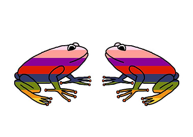 Pair of Rainbow Frogs