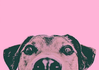 Pop Art Dog Pink
