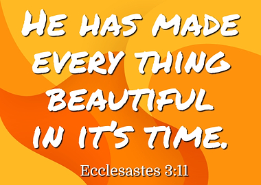Bible Ecclesiastes 311