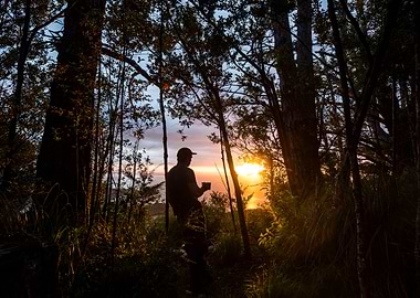 Morning Contemplation