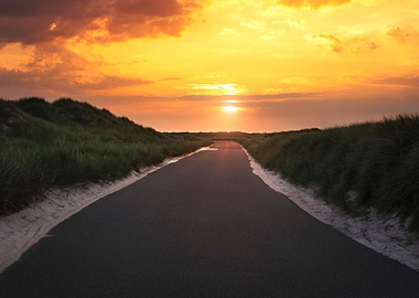 Road through grassland