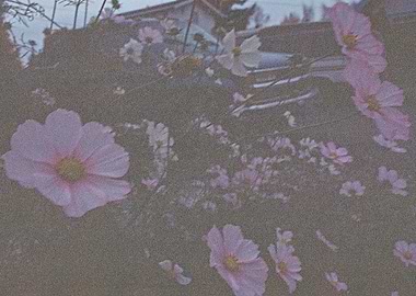 Pushing Floral Exposure