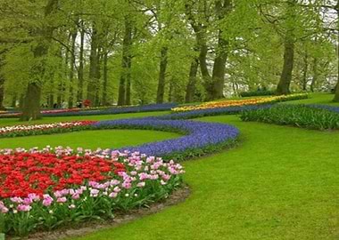 Cebu City Park Phils