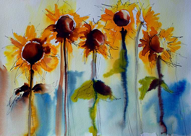 Sunflowers in line