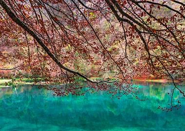 Beautiful cyan water