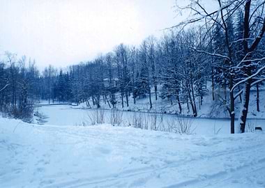 Winter came to my lake
