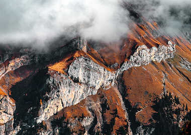 Natural environment view