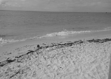 Praia Gamboa Morro Bahia