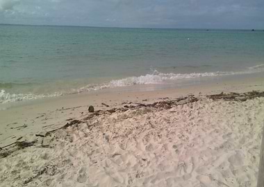 Praia Gamboa Morro Bahia