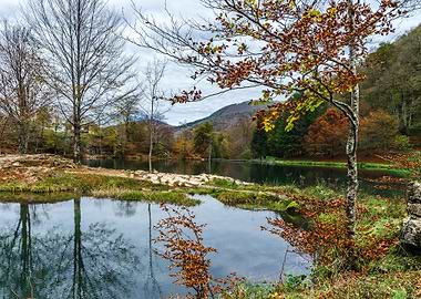 Natural autumnal landscape