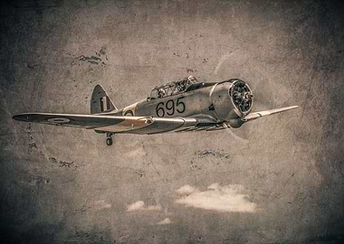 Weathered Wirraway