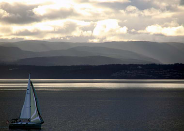 Back to the Island 2