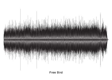 Free Bird Soundwave Art
