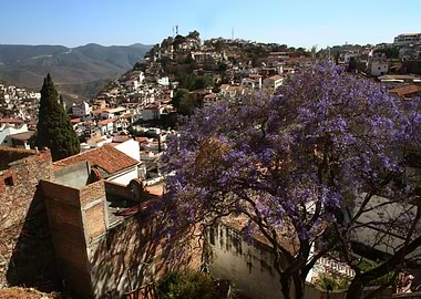 Panorama Taxco