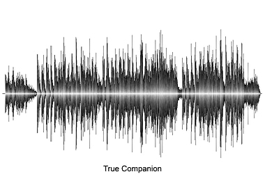 True Companion Soundwave