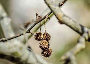 Fruitful Intersection