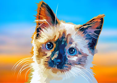 Adorable Blue Eyed Cat