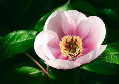 Invitation 4 Meditation 1