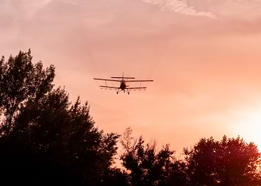 Plane flying in the sunset