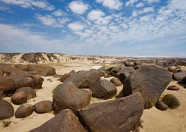 Namib Desert
