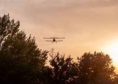 Plane flying in the sunset