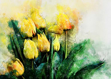 Yellow Tulips