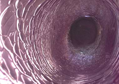 Purple Vortex