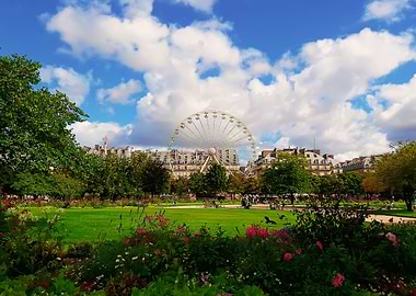 Jardin des Tuileries