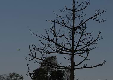 plane flying above skyg