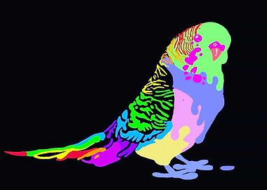 Parakeet