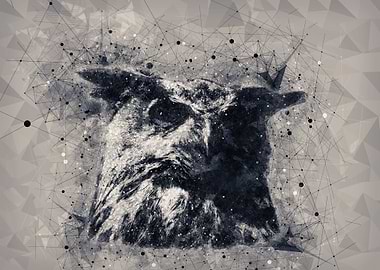The wisdom of owl