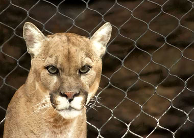 Locked In Here With ME