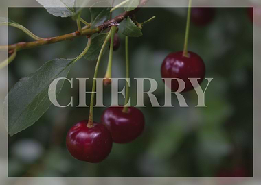 Cherry
