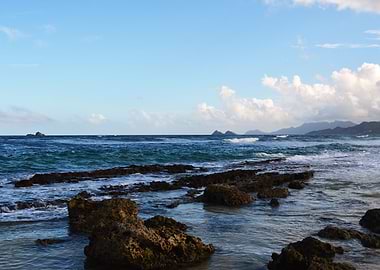 Waves on Oahu