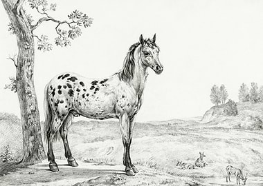 Standing Mottled Horse By