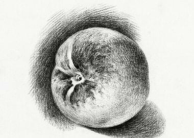 Apple 1812 By Jean Bernard