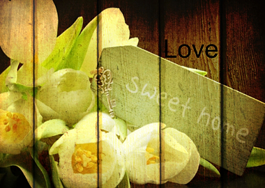 Sweet Home Tulip Love