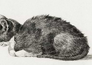 Lying Cat 1800 By Jean Ber