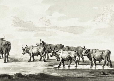 Group Of Six Bulls By Jean