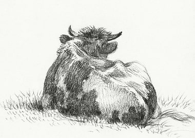 Lying Cow 1822 By Jean Ber